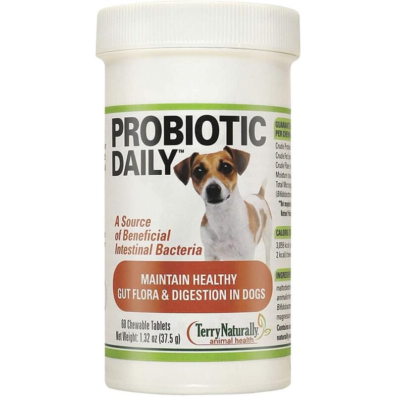 Rx probiotics shop for dogs