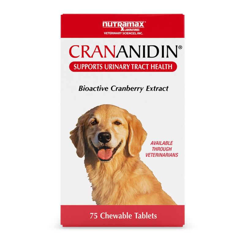 Dog Kidney Bladder Medication Supplements Farm Fleet Rx Pet Pharmacy