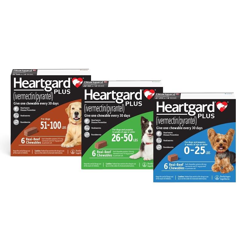 Dog Heartworm Pills Tablets Medicine Farm Fleet Rx Pet Pharmacy