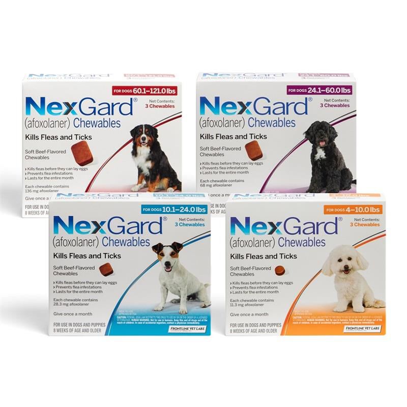 Buy nexgard online cheap best sale