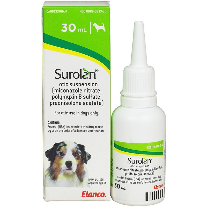 Dog ear infection medicine near me hotsell