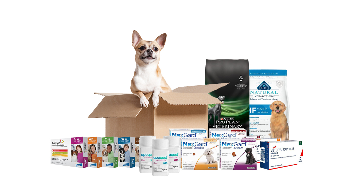 Pets delivered best sale to your door